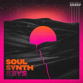 2DEEP Soul Synth Keys WAV-DISCOVER screenshot 2DEEP Soul Synth Keys WAV-DISCOVER screenshot