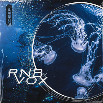 2DEEP RnB X Vox WAV MiDi-DISCOVER screenshot 2DEEP RnB X Vox WAV MiDi-DISCOVER screenshot
