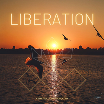 Strategic Audio Liberation WAV MiDi-DISCOVER screenshot Strategic Audio Liberation WAV MiDi-DISCOVER screenshot