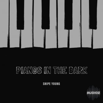 Snipe Young Pianos In The Dark WAV screenshot