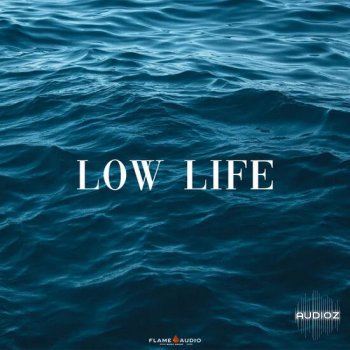 Flame Audio Low Life WAV MIDI-DECiBEL screenshot
