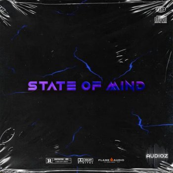 Flame Audio State Of Mind WAV MIDI-DECiBEL screenshot