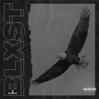 Blvckout Blxst WAV MIDI-DECiBEL screenshot