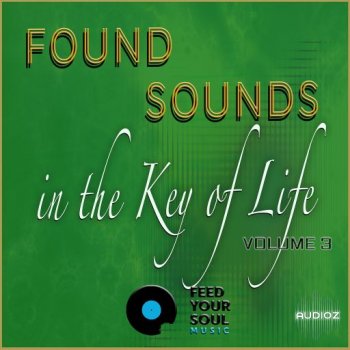 Feed Your Soul Music Found Sounds Vol. 3 Sounds in The Key of Life WAV screenshot