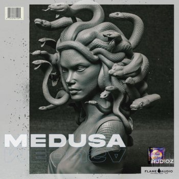 Flame Audio Medusa WAV MIDI-DECiBEL screenshot