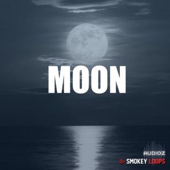 Smokey Loops Moon WAV-FANTASTiC screenshot