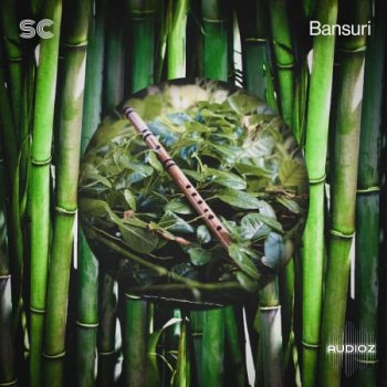Sonic Collective Bansuri WAV-FANTASTiC screenshot