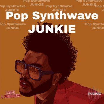 Loops 4 Producers Pop Synthwave Junkies WAV-FANTASTiC screenshot