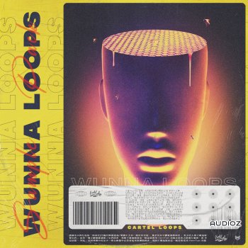 Cartel Loops Wunna Loops WAV-FANTASTiC screenshot