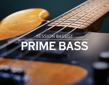 REQ: Native Instruments: Session Bassist Prime Bass screenshot