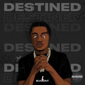 Blvckout Destined WAV-FANTASTiC screenshot