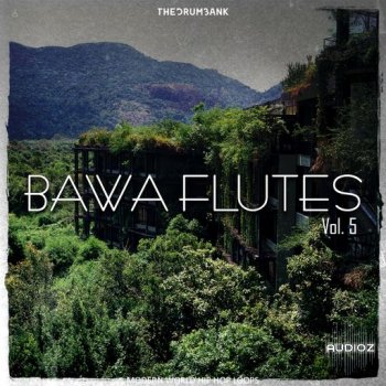 Dynasty Loops Bawa Flutes 5 WAV-FANTASTiC screenshot