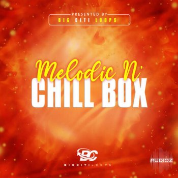 Big Citi Loops Melodic N Chill Box 1 WAV-DECiBEL screenshot
