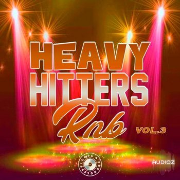 Loops 4 Producers Heavy Hitters R&B Vol.3 WAV-FANTASTiC screenshot