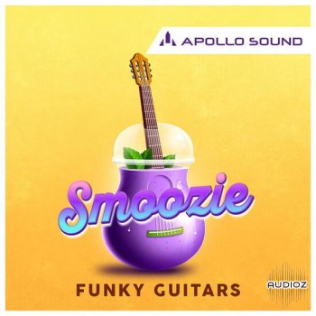 Apollo Sound Smoozie Funky Guitars WAV KONTAKT REX-DECiBEL screenshot