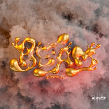 Upmadeit & FLOWRENCY "BEAM" Sound Kit WAV MiDi-FANTASTiC screenshot