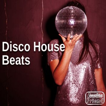 AudioFriend Disco House Beats WAV-FANTASTiC screenshot