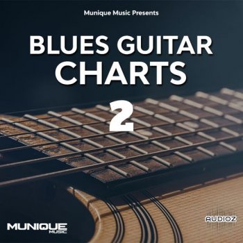 Innovative Samples Blues Guitar Charts 2 WAV screenshot
