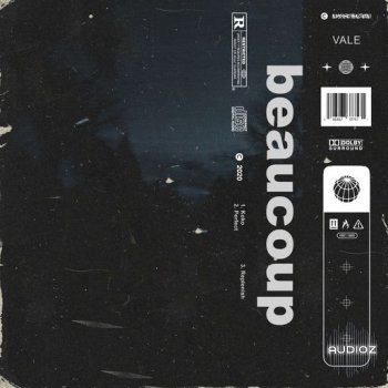 Loops 4 Producers Beaucoup WAV screenshot