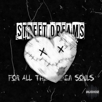 Loops 4 Producers Street Dreams WAV screenshot