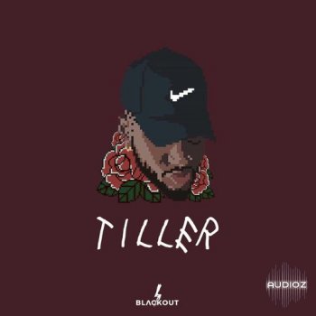 Loops 4 Producers Tiller WAV screenshot