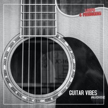 Loops 4 Producers Guitar Vibin WAV screenshot