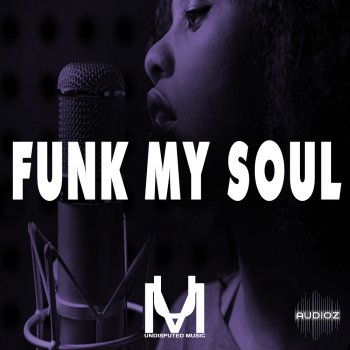 Undisputed Music Funk My Soul WAV-FANTASTiC screenshot