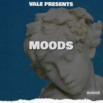 Loops 4 Producers Moods WAV screenshot