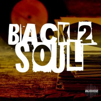 Loops 4 Producers Back 2 Soul WAV screenshot