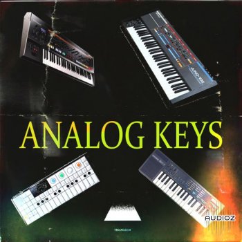 Loops 4 Producers Analogue Keys WAV screenshot