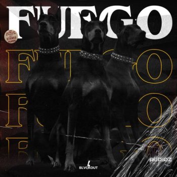 Loops 4 Producers Fuego WAV screenshot
