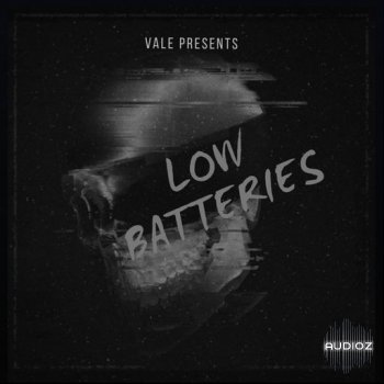 Loops 4 Producers Low Batteries WAV screenshot