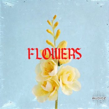 Loops 4 Producers !Flowers WAV screenshot