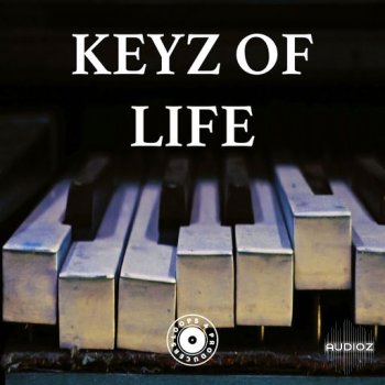 Loops 4 Producers Keyz Of Life WAV-FANTASTiC screenshot