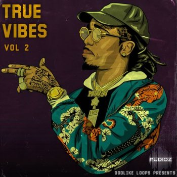 Godlike Loops True Vibes Vol.2 WAV screenshot