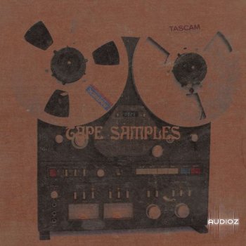Loops 4 Producers Tape Samples WAV screenshot
