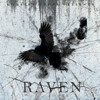 Godlike Loops Raven WAV screenshot