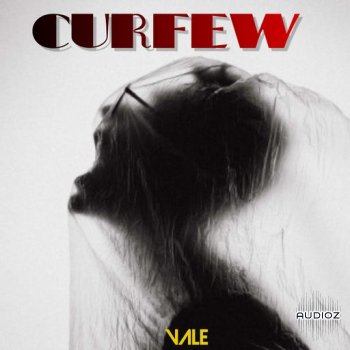 Loops 4 Producers Curfew WAV screenshot