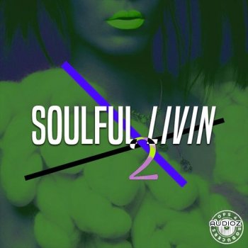Loops 4 Producers Soulful Livin 2 WAV-FANTASTiC screenshot