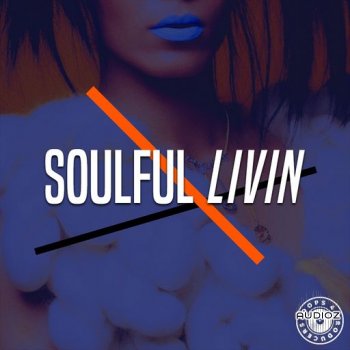 Loops 4 Producers Soulful Lovin WAV-FANTASTiC screenshot