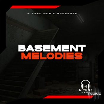 N Tune Music Basement Melodies WAV screenshot