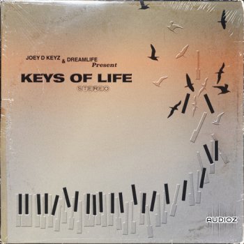 The Sample Lab Keys of Life (Compositions) WAV-FANTASTiC screenshot