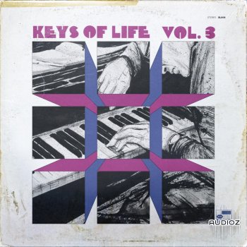 The Sample Lab Keys Of Life Volume 3 (Compositions) WAV-FANTASTiC screenshot