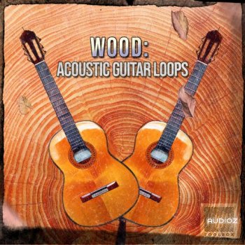 Toolbox Samples Wood Acoustic Guitar Loops WAV screenshot