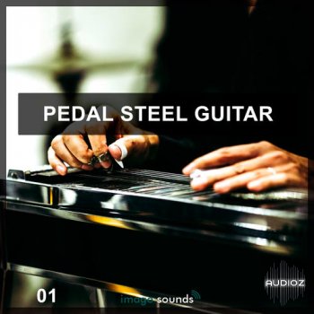 Image Sounds Pedal Steel Guitar VSTSOUND screenshot
