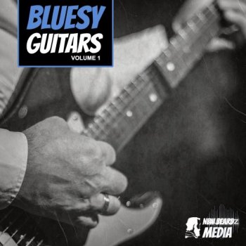 New Beard Media Bluesy Guitars Vol 1 WAV-FANTASTiC screenshot
