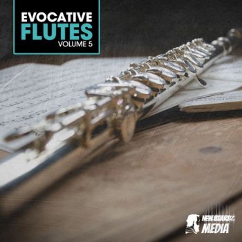 New Beard Media Evocative Flutes Vol 5 WAV-FANTASTiC screenshot