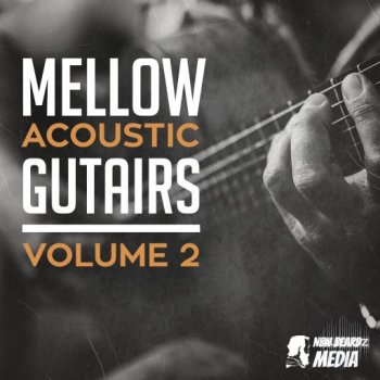 New Beard Media Mellow Acoustic Guitars Vol 2 WAV-FANTASTiC screenshot