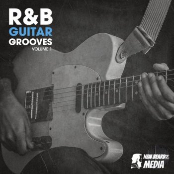 New Beard Media RnB Guitar Grooves Vol 1 WAV-FANTASTiC screenshot