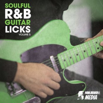 New Beard Media RnB Guitar Licks Vol 5 WAV-FANTASTiC screenshot
